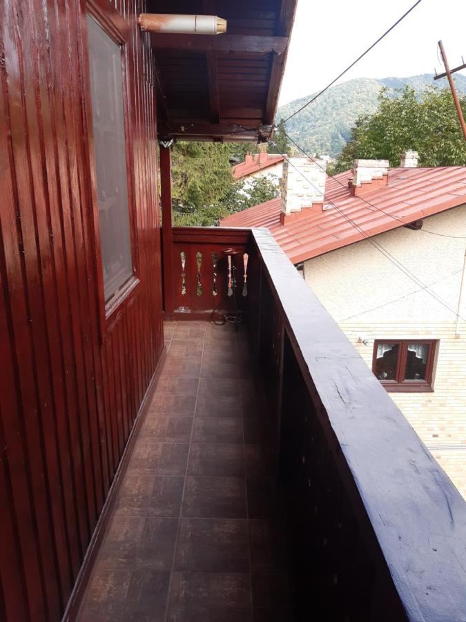 Rustic Regal Διαμέρισμα Σινάια Εξωτερικό φωτογραφία
