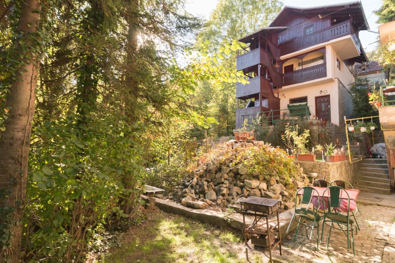 Rustic Regal Διαμέρισμα Σινάια Εξωτερικό φωτογραφία