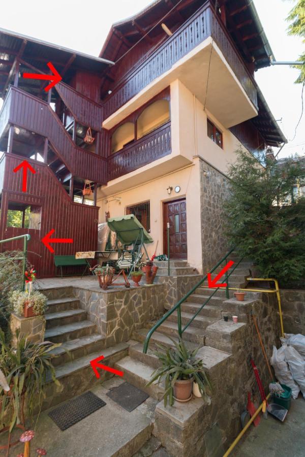 Rustic Regal Διαμέρισμα Σινάια Εξωτερικό φωτογραφία